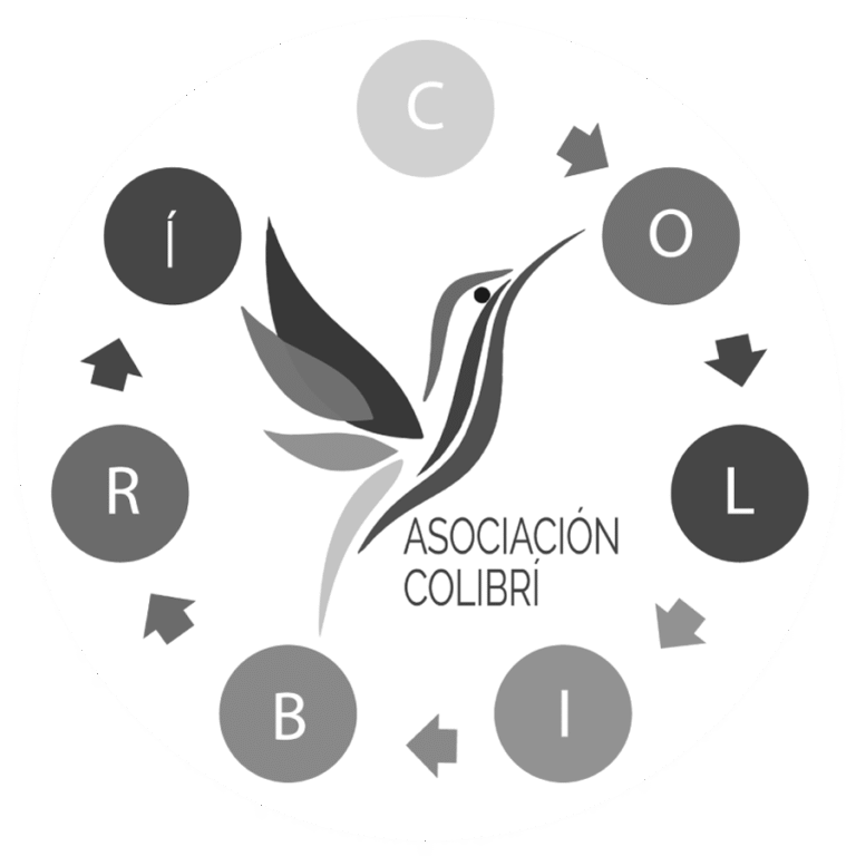Diseño web y comunicación digital